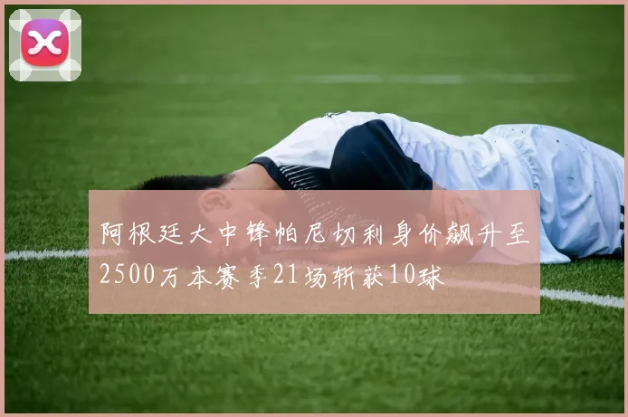 阿根廷大中锋帕尼切利身价飙升至2500万本赛季21场斩获10球