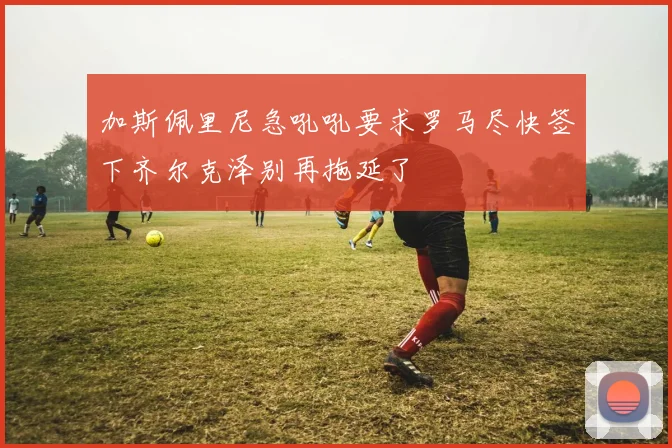 加斯佩里尼急吼吼要求罗马尽快签下齐尔克泽别再拖延了