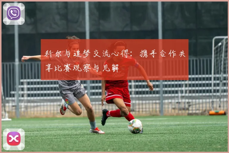 科尔与追梦交流心得：携手合作共享比赛观察与见解